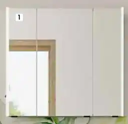 Zurbrüggen Stylife Spiegelschrank Angebot