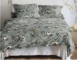 Zurbrüggen irisette Edel-Fein-Biber Bettwäsche Koala Angebot