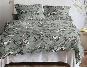 Zurbrüggen irisette Edel-Fein-Biber Bettwäsche Koala Angebot