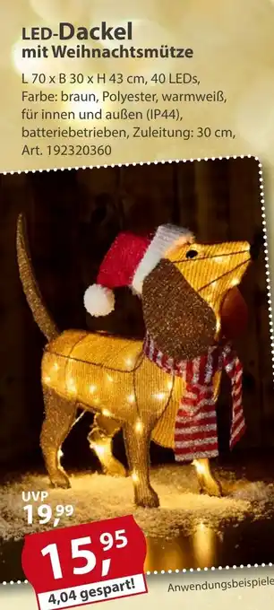 Sonderpreis Baumarkt LED-Dackel mit Weihnachtsmütze Angebot