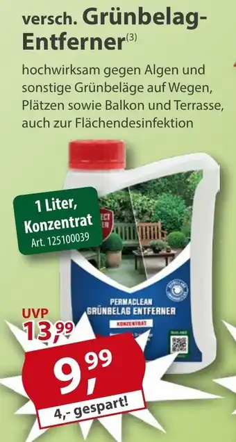 Sonderpreis Baumarkt versch. Grünbelag- Entferner Angebot