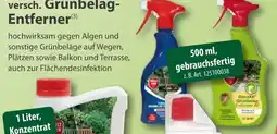 Sonderpreis Baumarkt versch. Grünbelag- Entferner Angebot