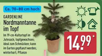 Aldi Nord Gardenline nordmanntanne im topf Angebot