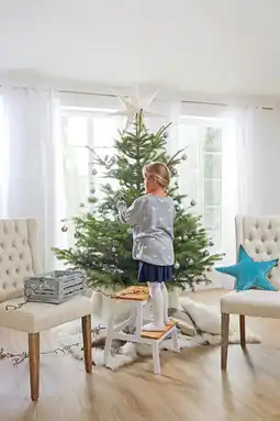 Mömax Weihnachtsbaum Angebot