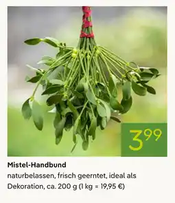 Pflanzen Kölle Mistel-handbund Angebot
