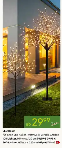 Pflanzen Kölle Led baum Angebot