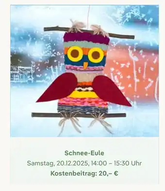 Pflanzen Kölle Schnee-eule Angebot