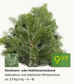 Pflanzen Kölle Nordmann- oder nobilistannenbund Angebot