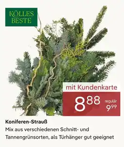 Pflanzen Kölle Kölles beste koniferen-strauß Angebot