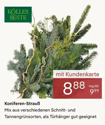 Pflanzen Kölle Kölles beste koniferen-strauß Angebot