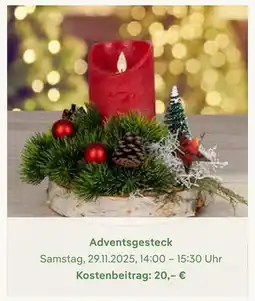 Pflanzen Kölle Adventsgesteck Angebot