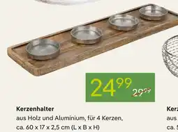 Pflanzen Kölle Kerzenhalter Angebot