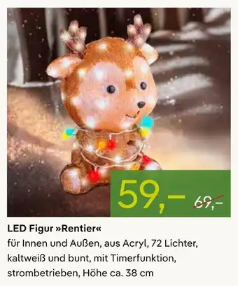 Pflanzen Kölle Led figur rentier Angebot