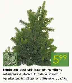 Pflanzen Kölle Nordmann- oder nobilistannen-handbund Angebot