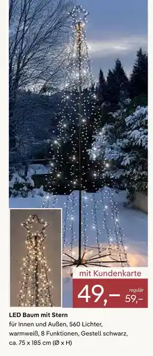 Pflanzen Kölle Led baum mit stern Angebot