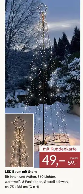 Pflanzen Kölle Led baum mit stern Angebot