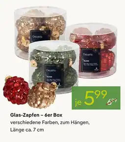 Pflanzen Kölle Glas-zapfen – 6er box Angebot