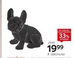 XXXLutz Ambia home dekohund Angebot