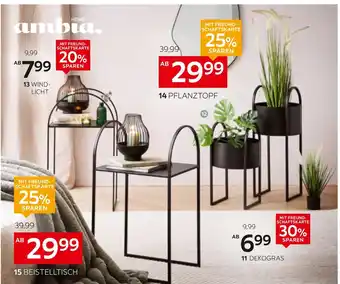 XXXLutz Ambia home dekogras Angebot