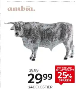 XXXLutz Ambia home dekostier Angebot