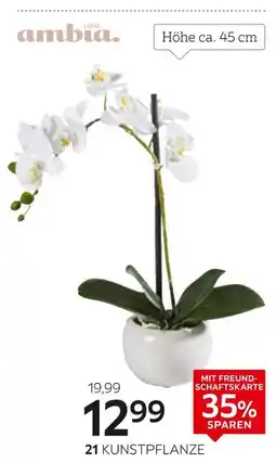 XXXLutz Kunstpflanze Angebot