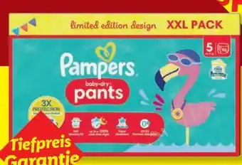 Lidl Pampers Baby-Dry Pants Angebot