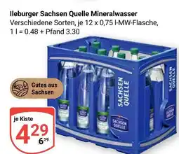 Globus Sachsen quelle ileburger sachsen quelle mineralwasser Angebot