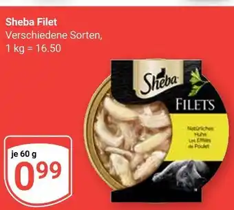 Globus Sheba filet Angebot