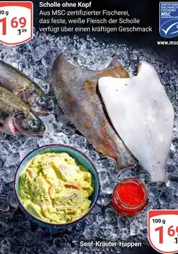 Globus Scholle ohne kopf Angebot