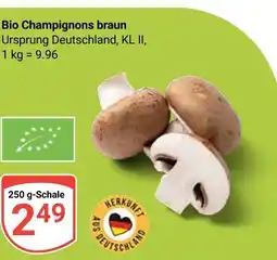 Globus Bio champignons braun Angebot