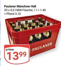 Globus Paulaner münchner hell Angebot