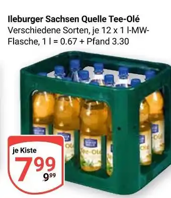 Globus Ileburger sachsen quelle tee-olé Angebot