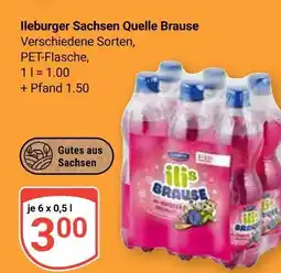 Globus Ileburger sachsen quelle brause Angebot