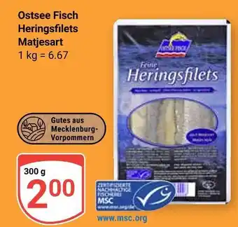 Globus Ostsee fisch heringsfilets matjesart Angebot