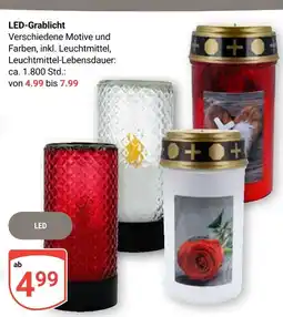 Globus Led-grablicht Angebot