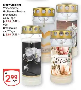 Globus Motiv grablicht Angebot