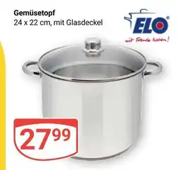 Globus Elo gemüsetopf Angebot