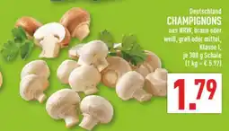 Marktkauf Champignons braun Angebot