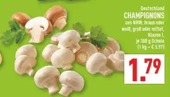 Marktkauf Champignons braun Angebot