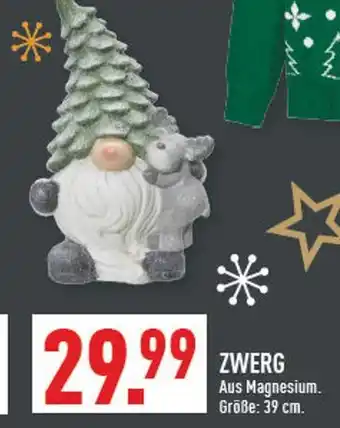Marktkauf Zwerg Angebot