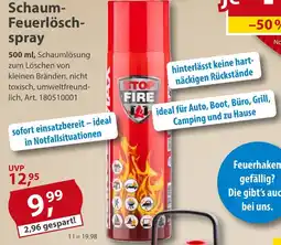 Sonderpreis Baumarkt Schaum- Feuerlöschspray Angebot