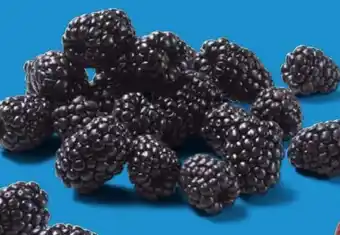 Lidl Brombeeren Angebot