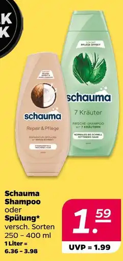 NETTO Schauma shampoo Angebot