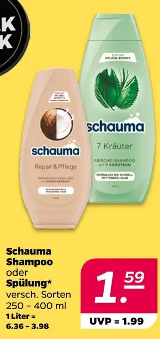NETTO Schauma shampoo Angebot
