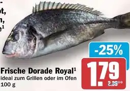 HIT Frische Dorade Royal Angebot