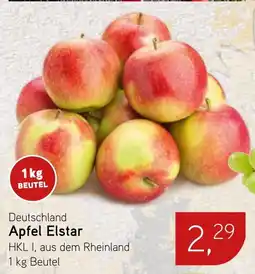 Dornseifer Apfel Elstar Angebot