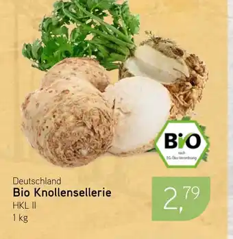 Dornseifer Bio Knollensellerie Angebot