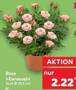Kaufland Rose Carousel Angebot