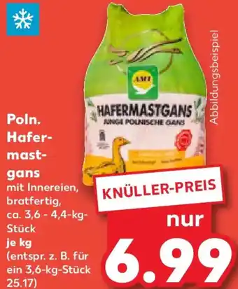 Kaufland Poln. Hafermastgans Angebot