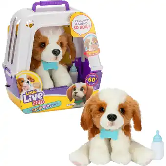 Netto Marken-Discount Moose Toys Ltd. Kuscheltier Little Live Pets - My Really Real Puppy Patches Angebot